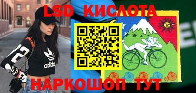 шишки Белореченск