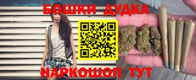 дурь Бердск