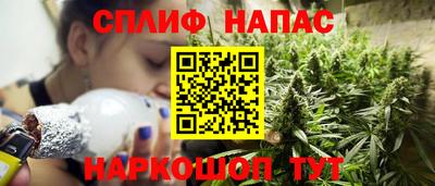 дурь Бердск